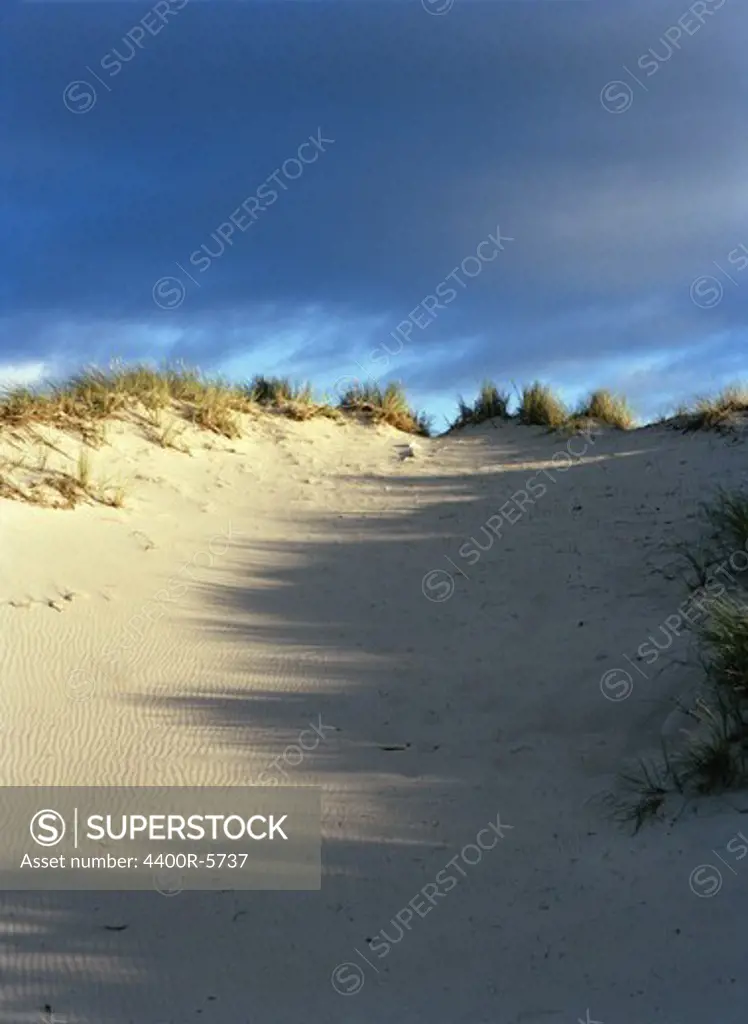 Sand dunes, Gotska sandon, Sweden.