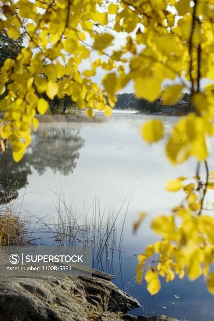 Autumn, Tyreso, Sweden.
