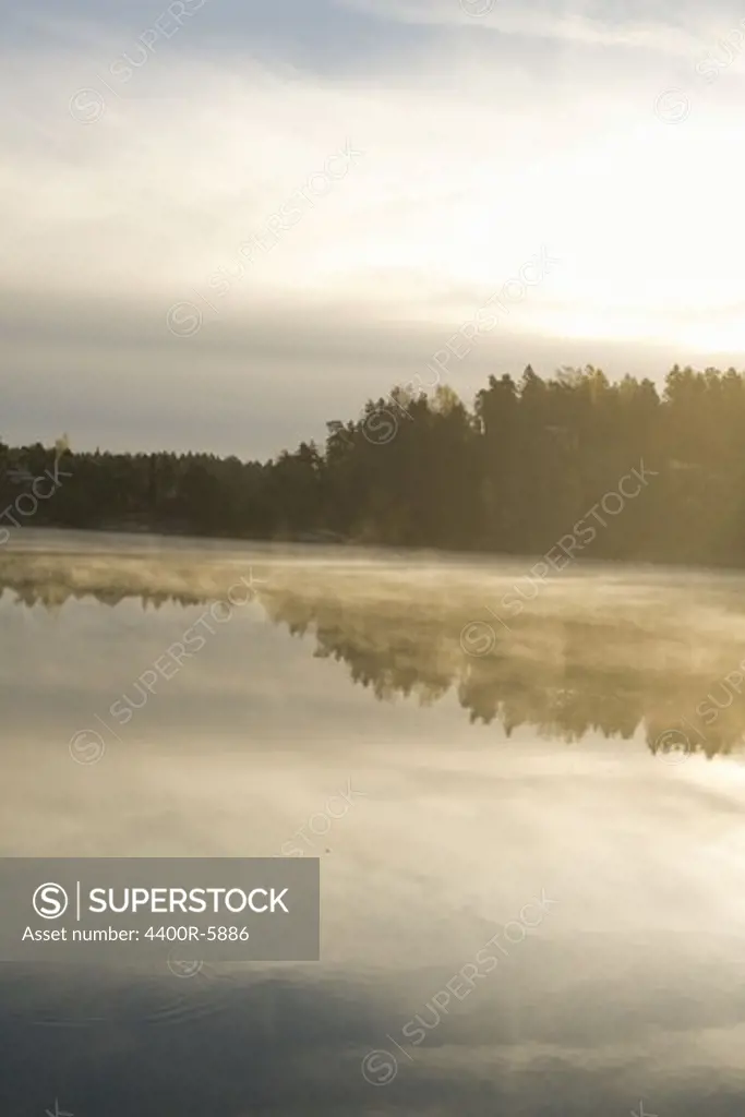 Morning mist, Tyreso, Sweden.