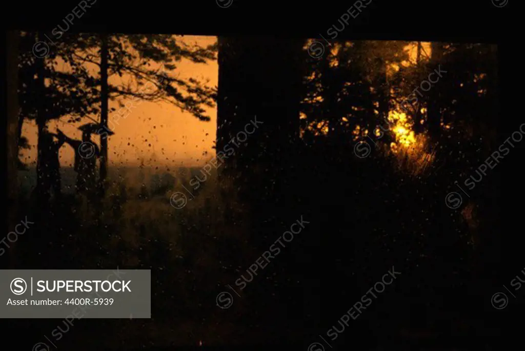 Silhouettes in the forest by night, Sweden.