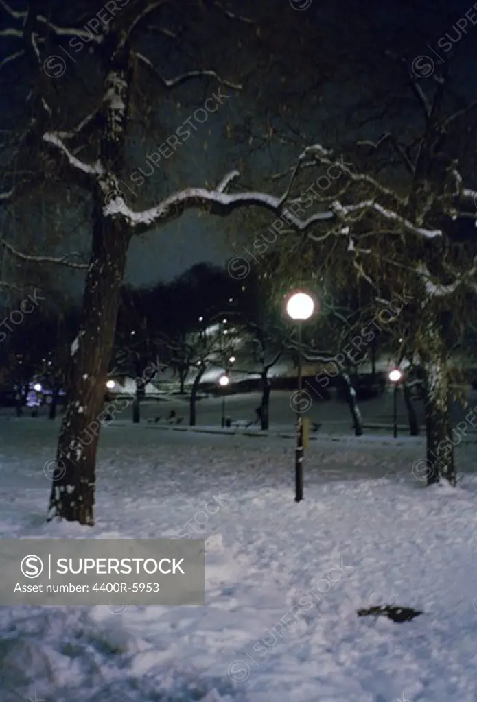 Streetlamp in a park, Stockholm, Sweden.