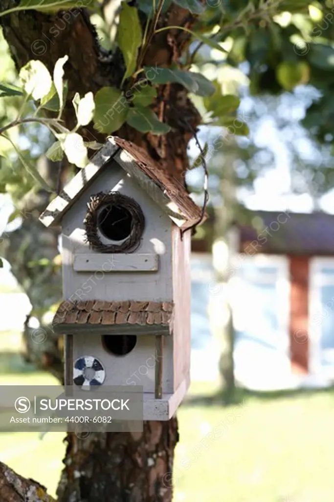 A nesting box in an apple tree, Sweden.