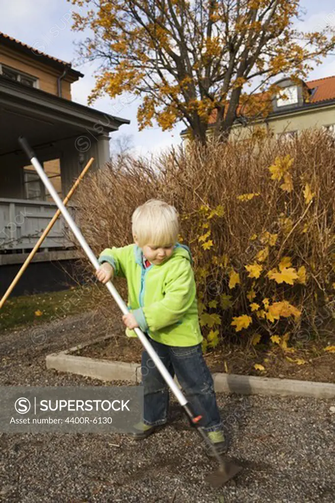 A little boy raking leaves in the garden, Sweden.
