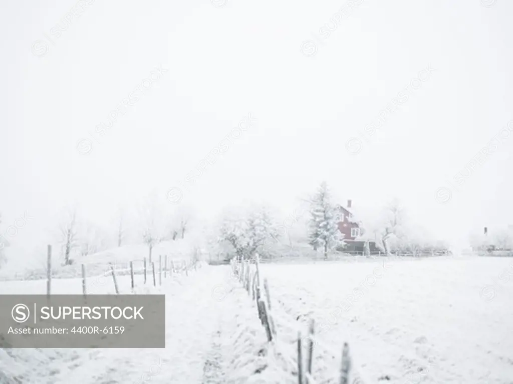 Winter lanscape, Sweden.