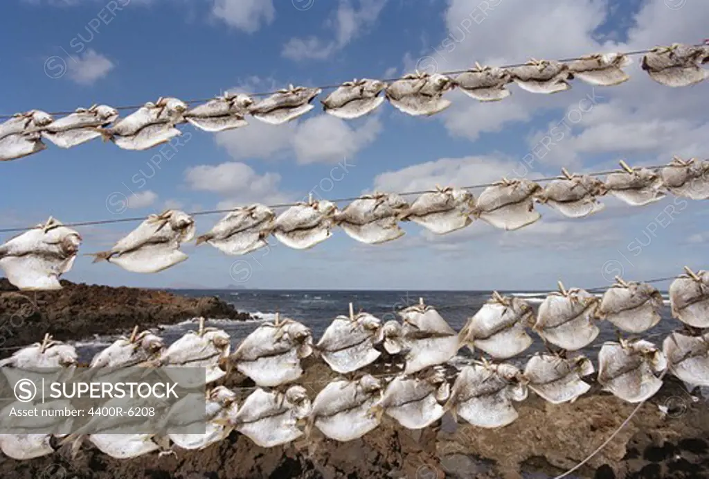 Fish hanging out to dry, Greece.