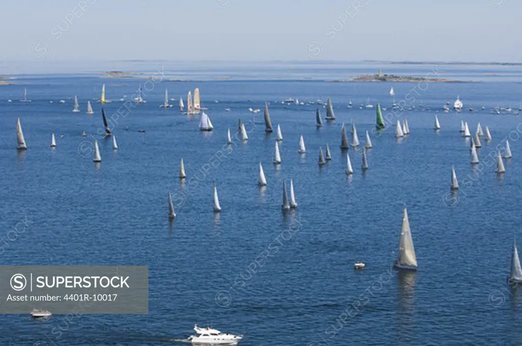Yacht race, Sweden.