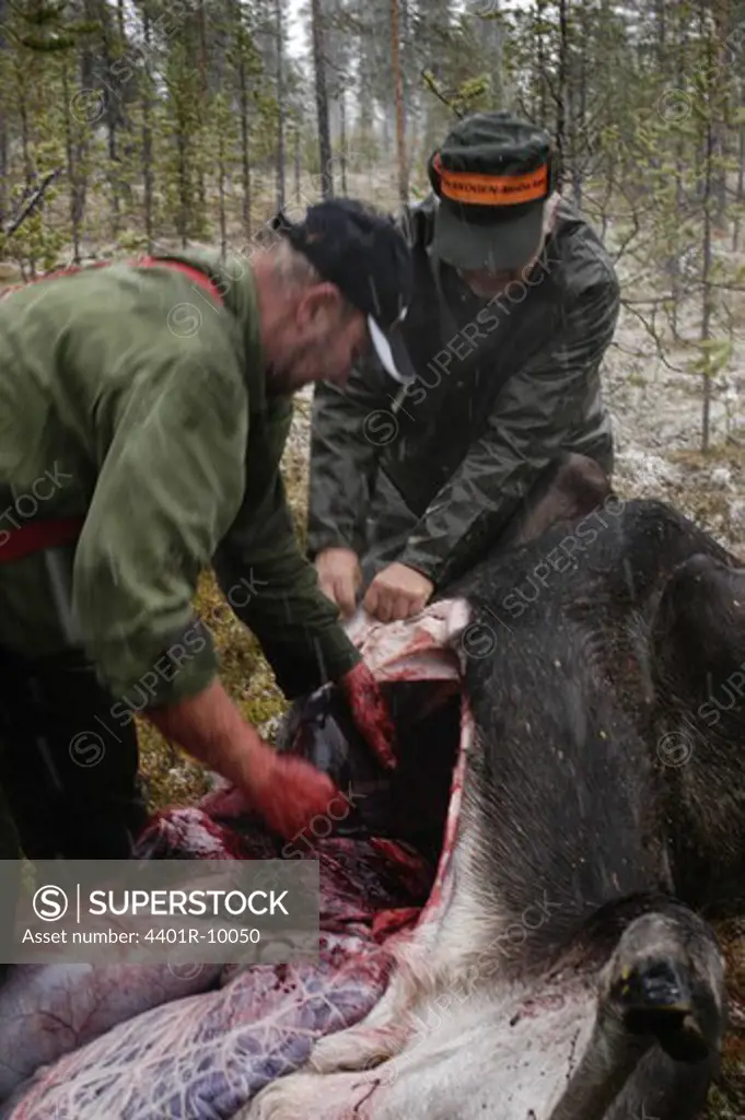 Men elk-hunting, Sweden.