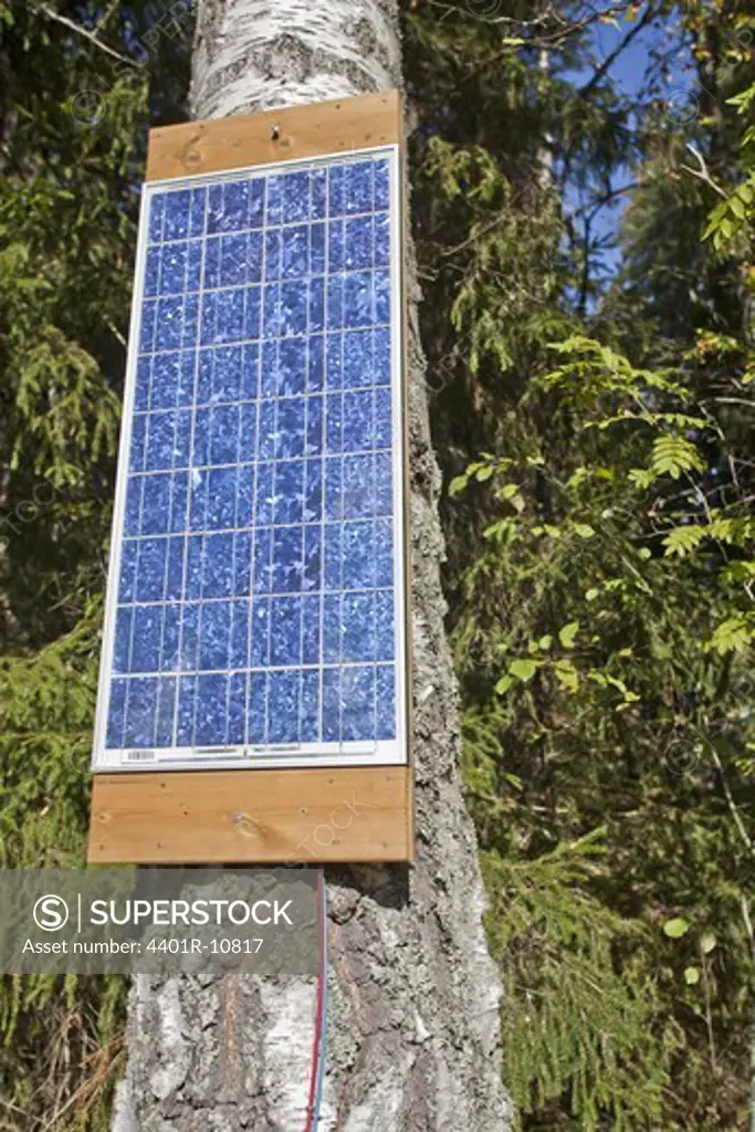 Scandinavian Peninsula, Sweden, Värmland, View of solar panel on birch tree