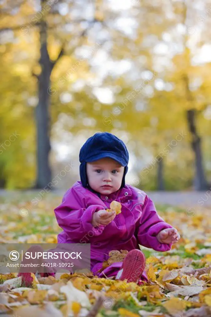 Portrait of a baby girl in autumn leaves, Sweden.