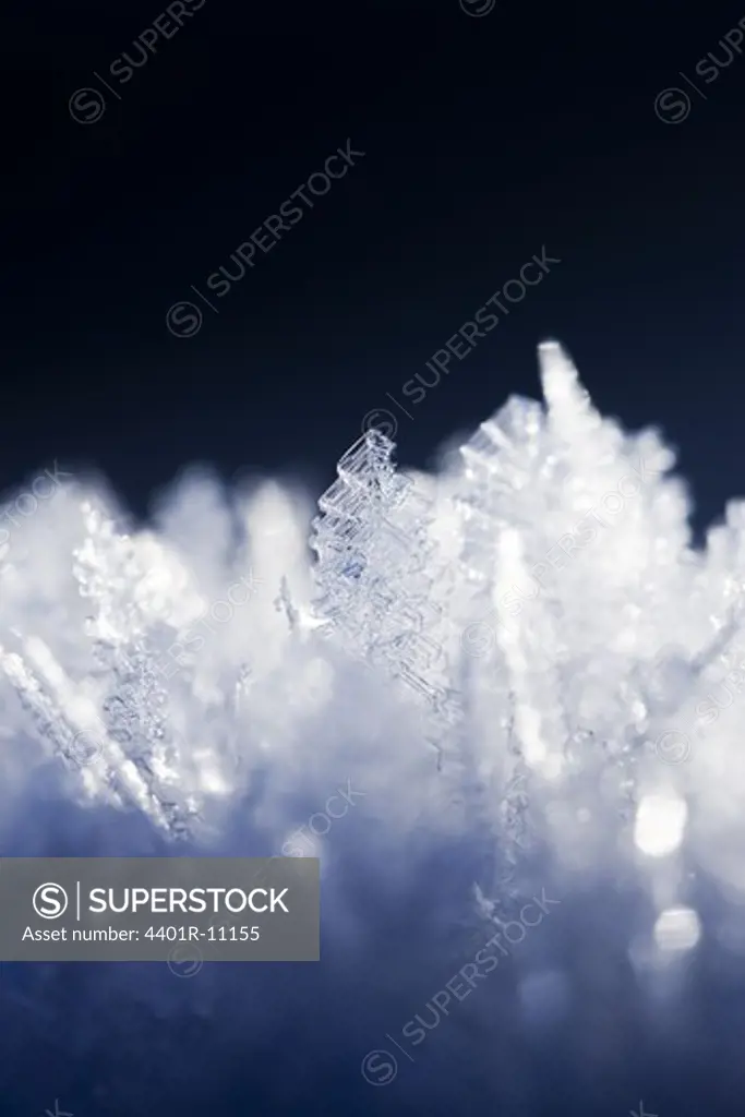 Scandinavian Peninsula, Sweden, Skåne, Småland, View of snowflakes, close-up