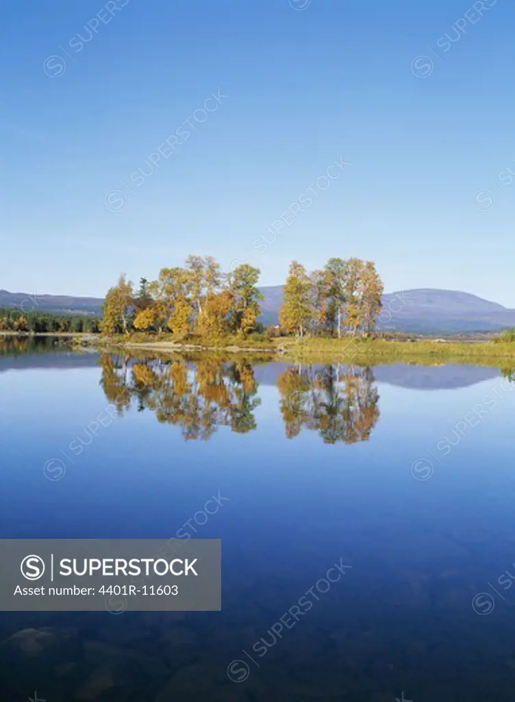 Reflection of trees on still lake