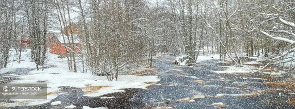 Snowstorm at a creek