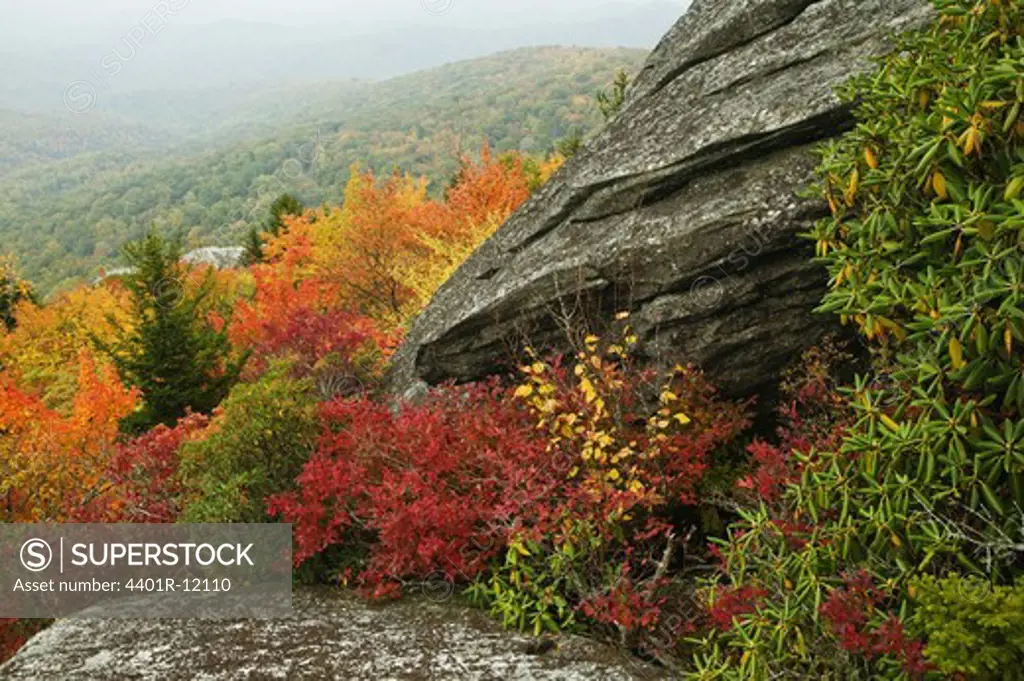 North America, USA, North Carolina, View of rock formation in autumn, elevated view