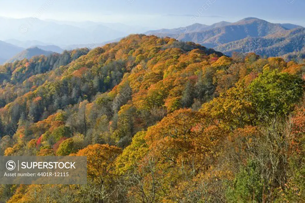 North America, USA, North Carolina, View of fog covered Great Smokey Mountains National Park, elevated view