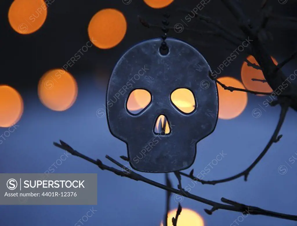 Skull with candle on branch