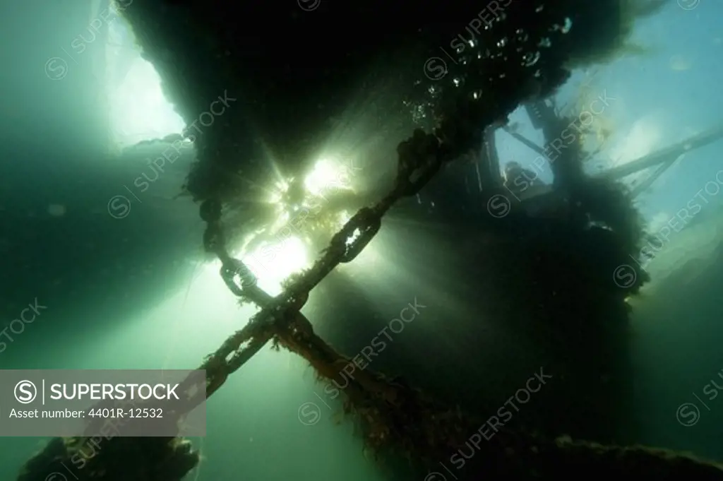 Overgrown chains underwater