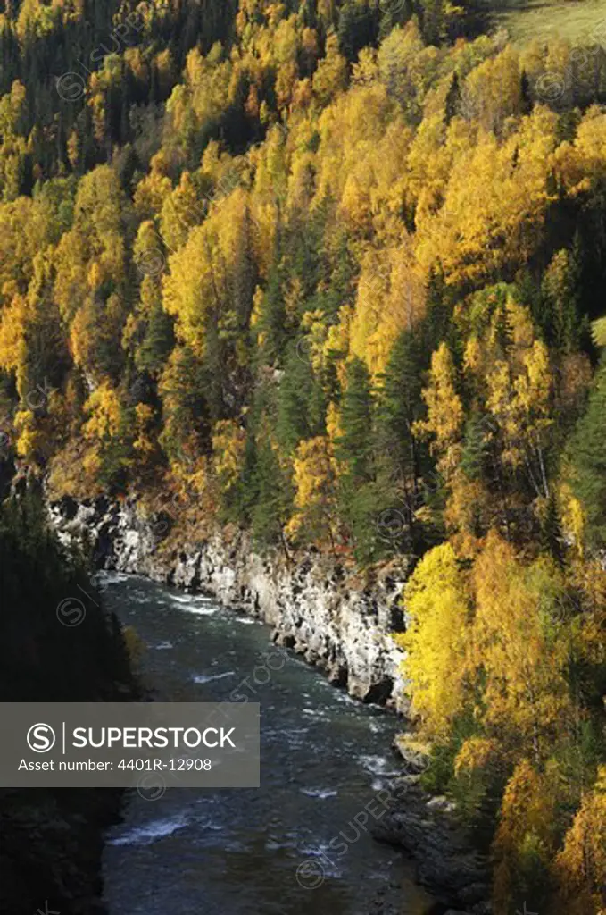 Scandinavia, Norway, View of river
