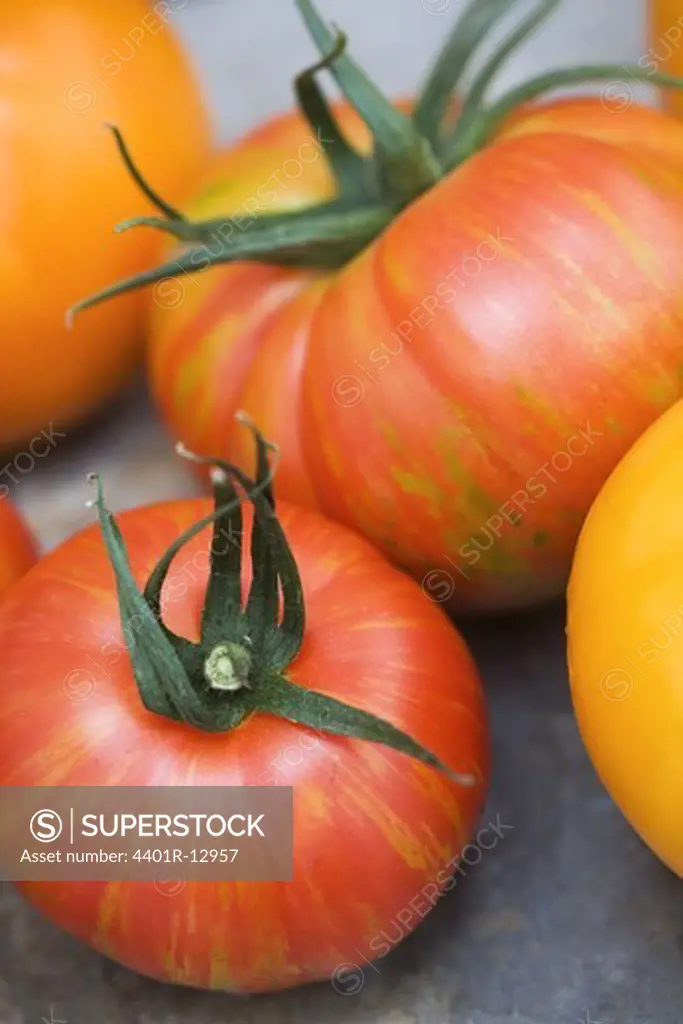 Fresh tomatoes, close-up