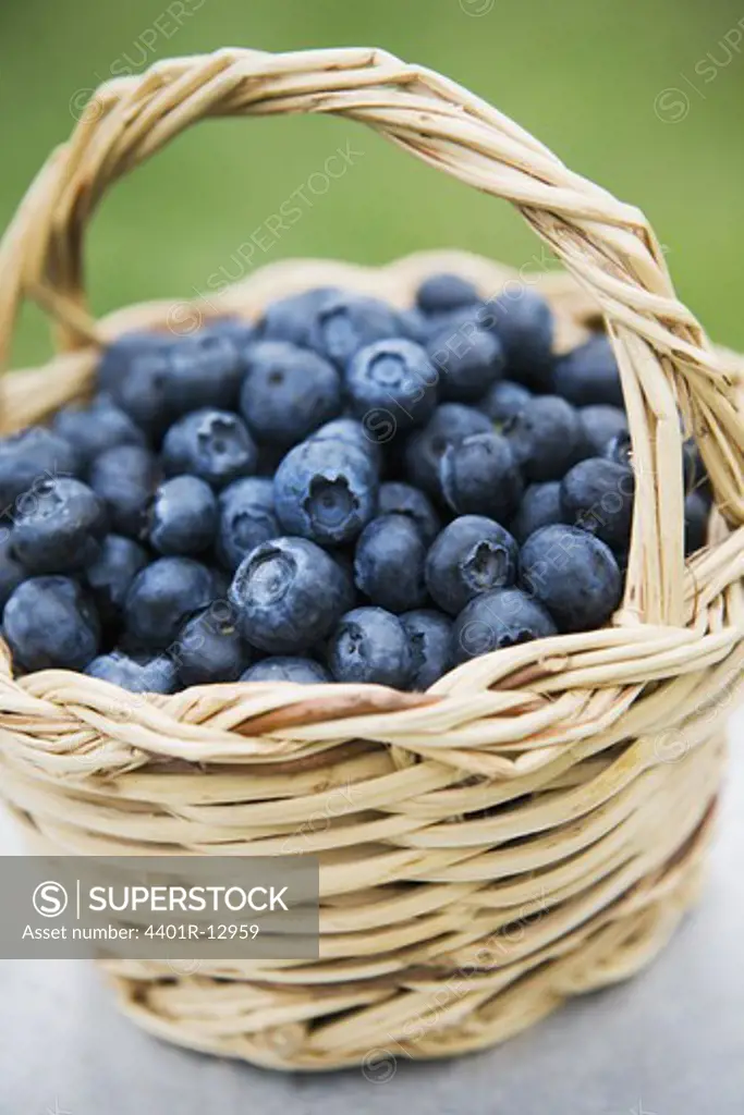 Blueberries in wicker basket