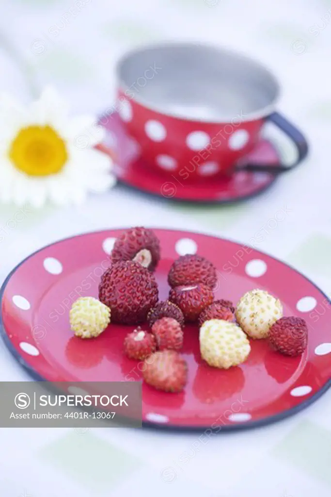 Strawberries in a plate