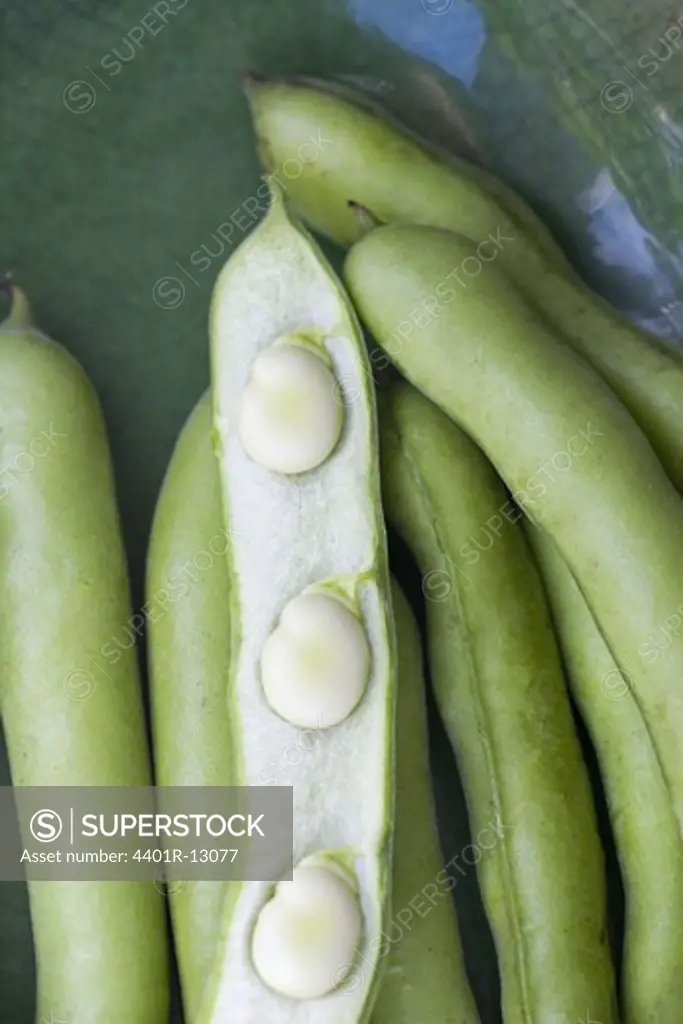 Bunch of beans, one peeled
