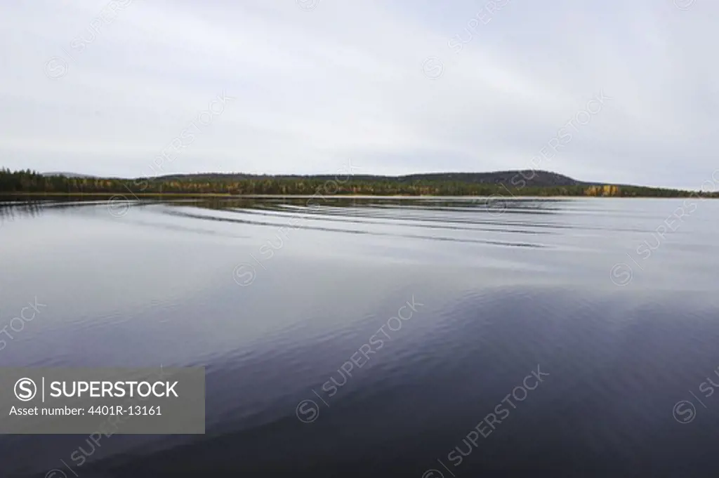Calm water, shore with forest in the background