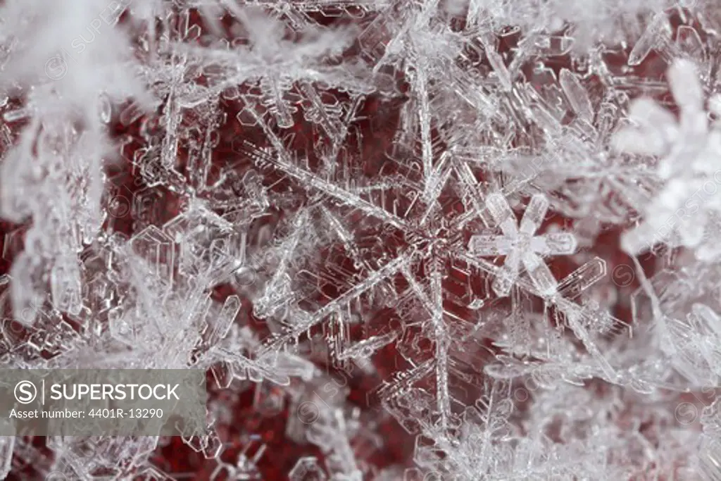 Snow flakes, extreme close-up