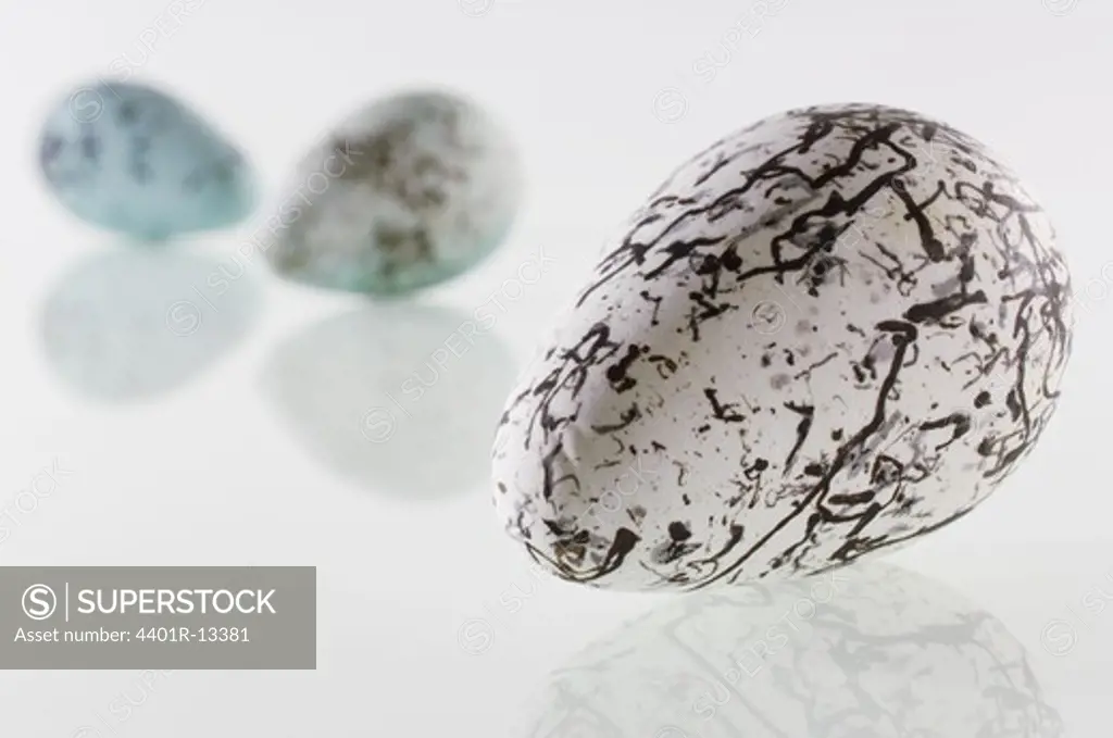 Studio shot of prehistoric eggs on white background