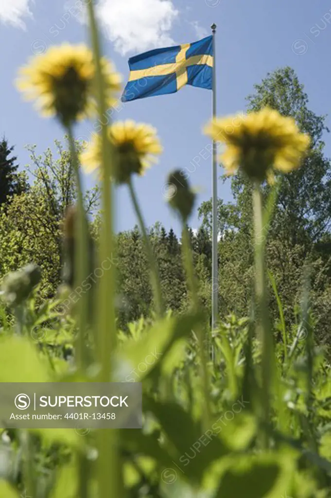 View of Swedish flag with trees and flower around