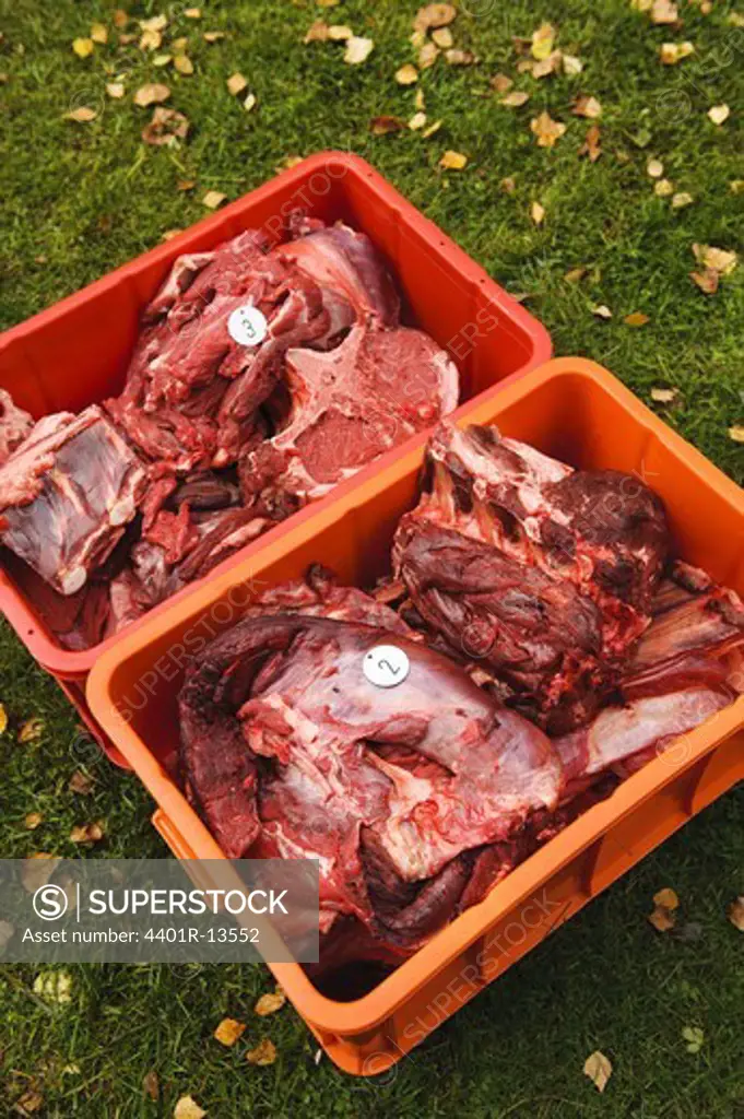 Raw meat of elk in crate