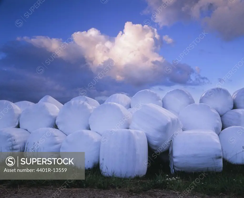 Bales on field at dusk