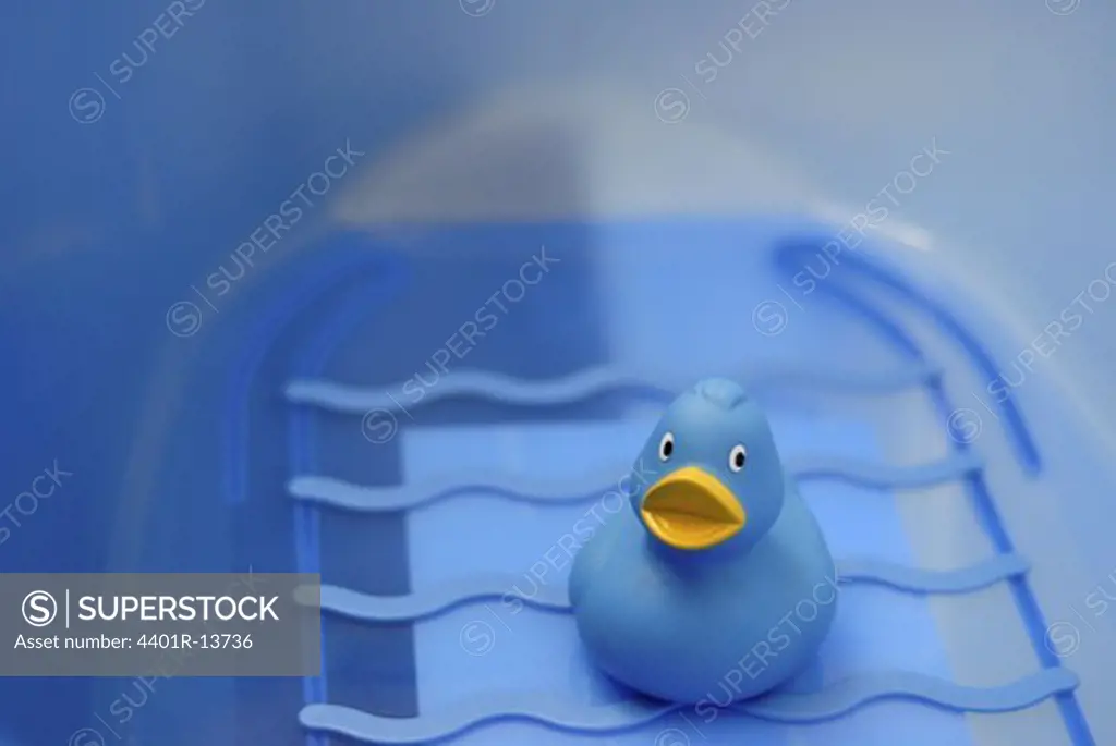 blue rubber duck on bathtub