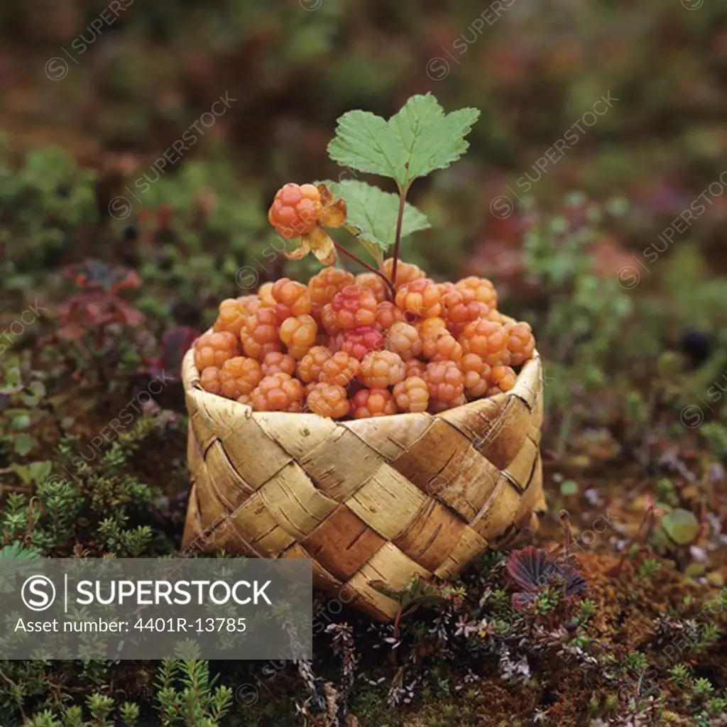 Berry fruit with leaves in basket
