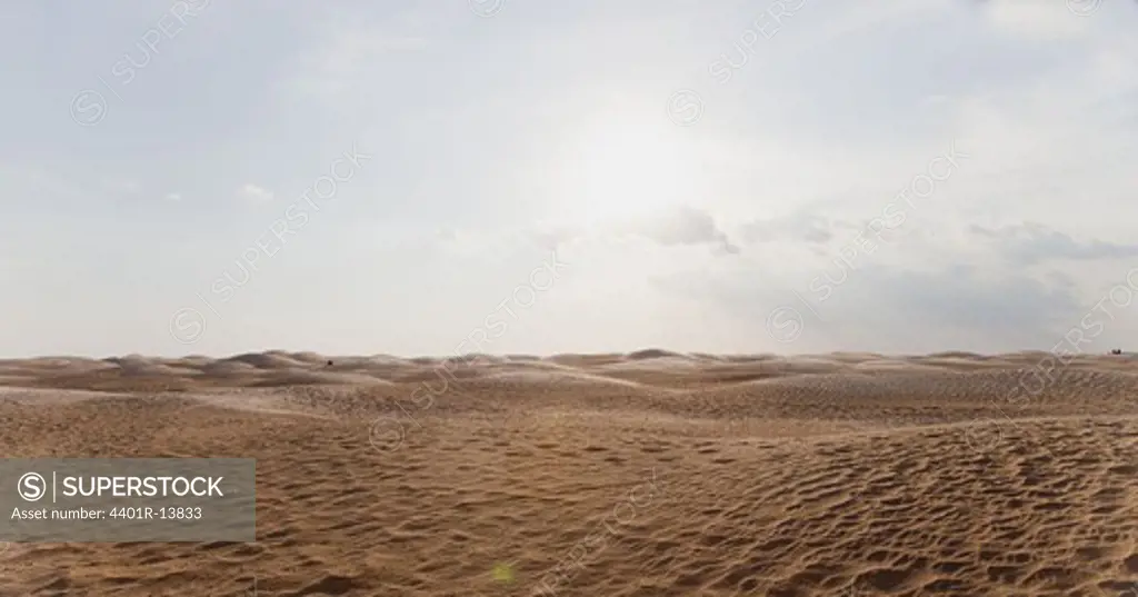 View of desert with sand dunes