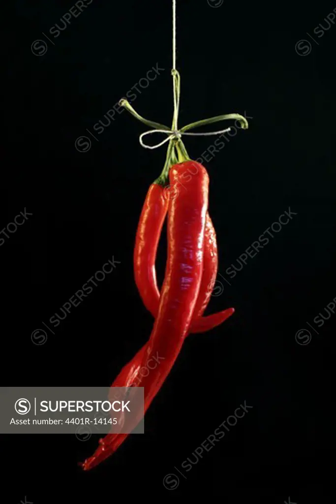 Red chili peppers hanging against black background, studio shot