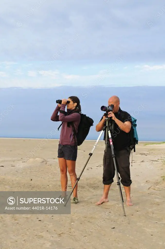 Two people watching birds on beach