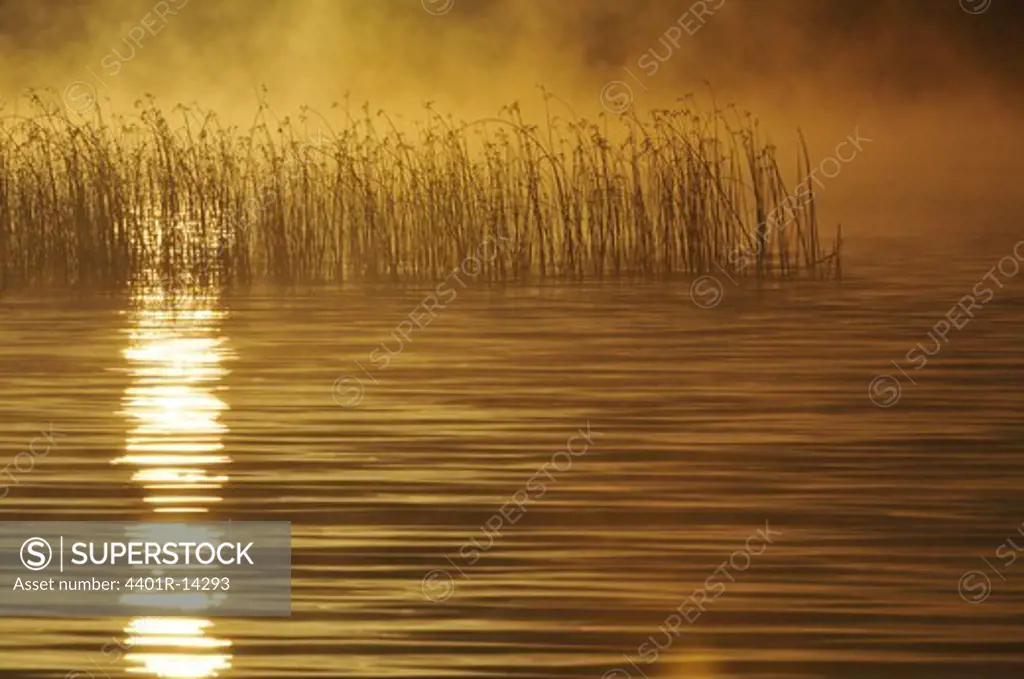 Golden sunset reflecting in lake
