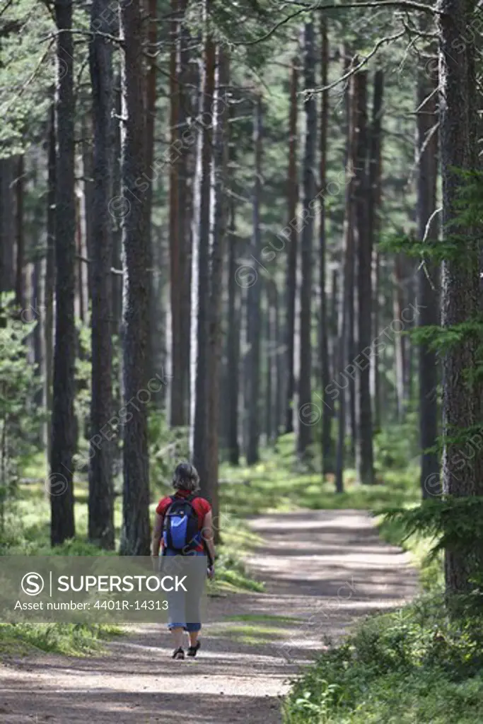 Woman walking along forest trial