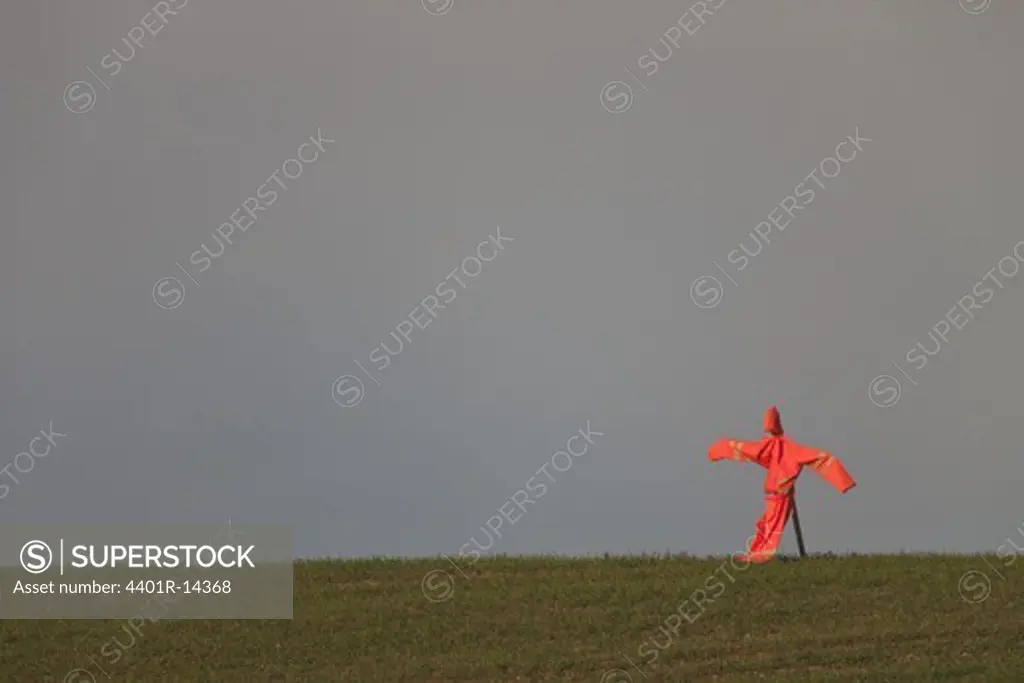Scarecrow in field