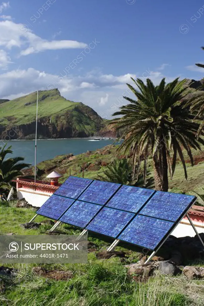 Solar cells in tropical environment.