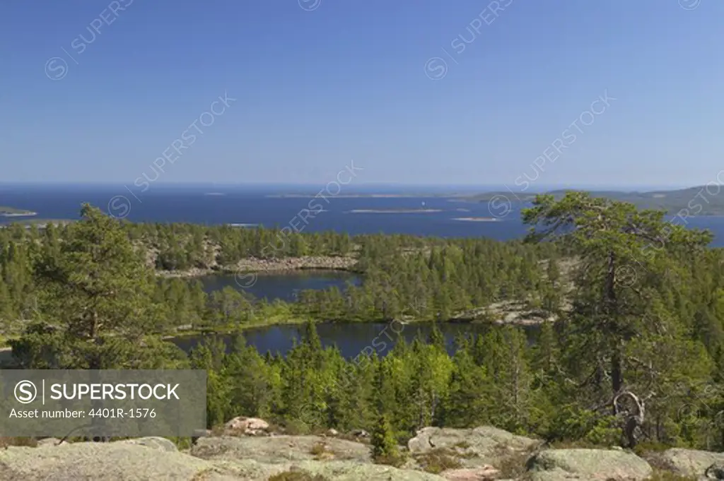 Skuleskogen national park, Angermanland, Sweden.