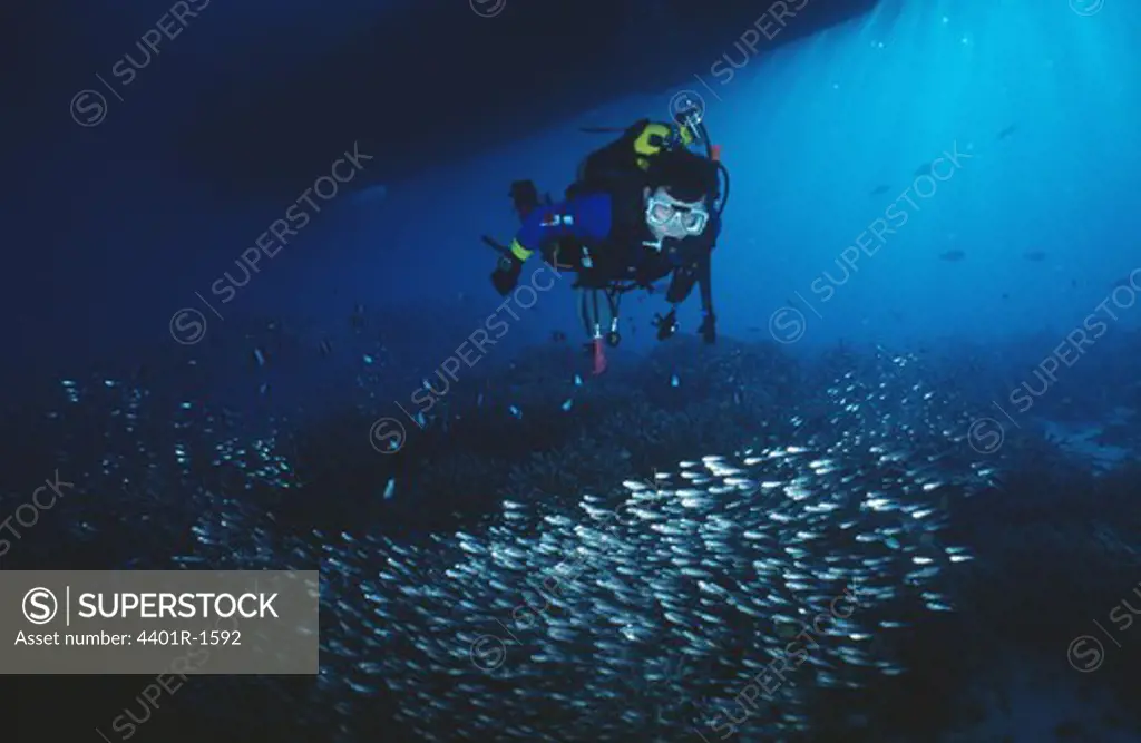 Man diving in sea, underwater view