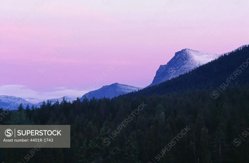 Silhouette of trees with mountains in background