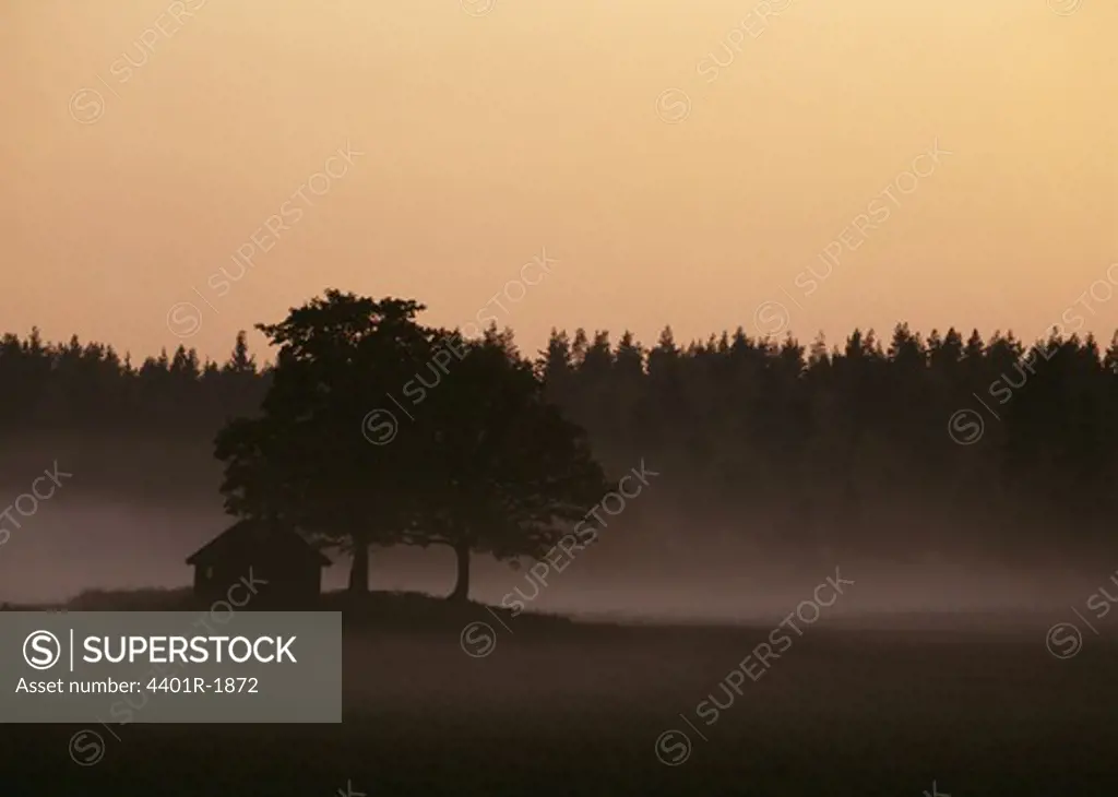 Silhouette of house and trees at dusk