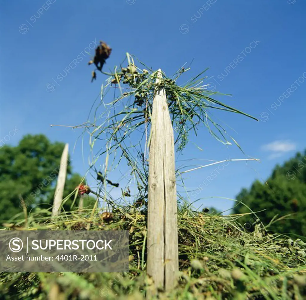 Wooden pole against sky, close-up