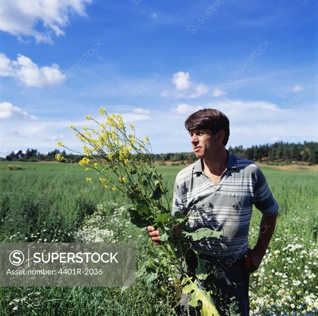 Mild adult man standing in field with flowers
