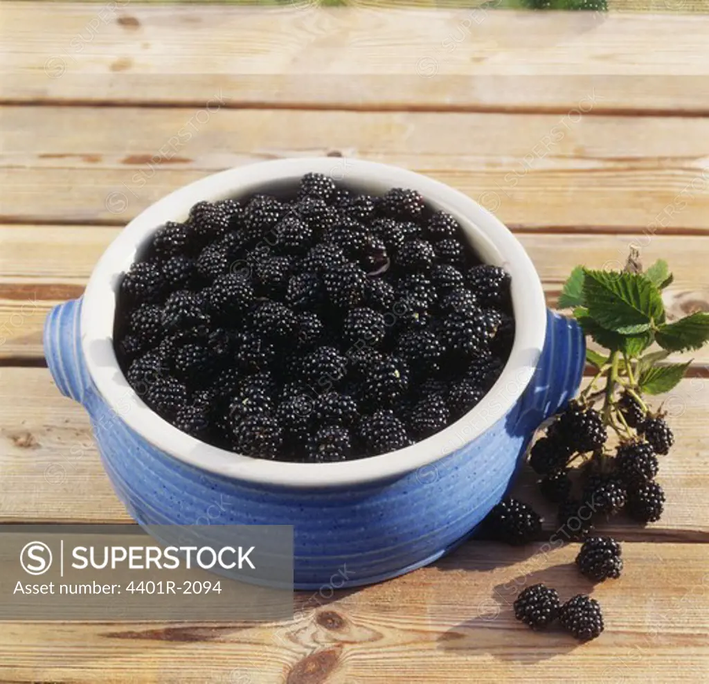 Blackberries in bowl, elevated view