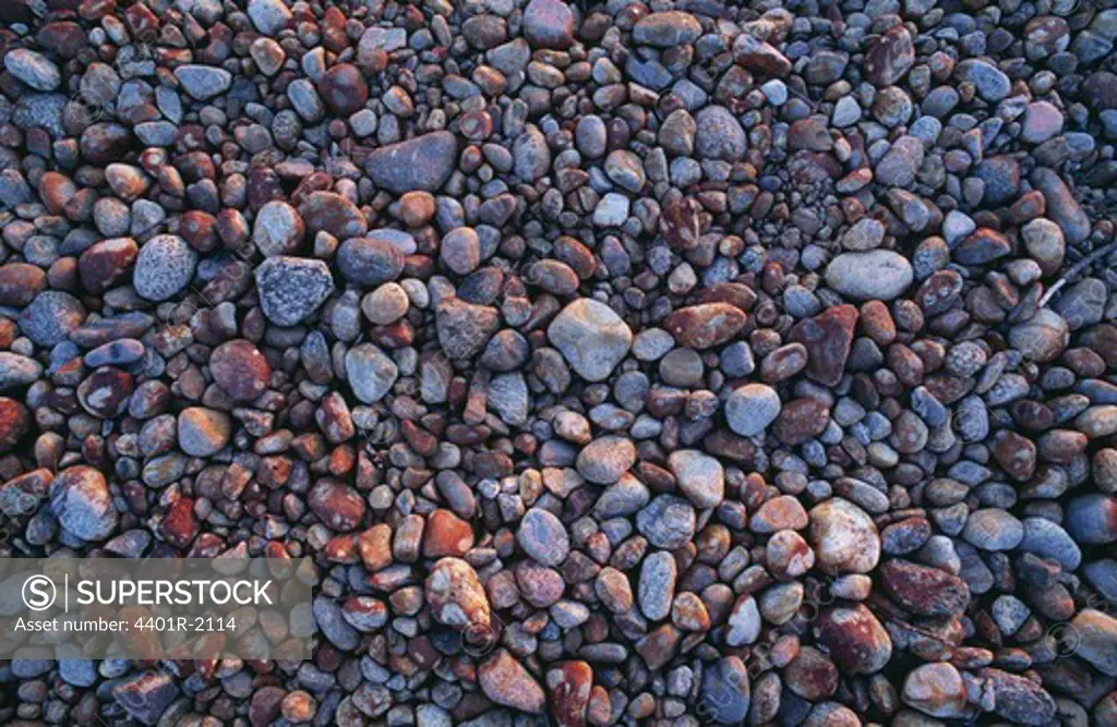 Pebbles on ground