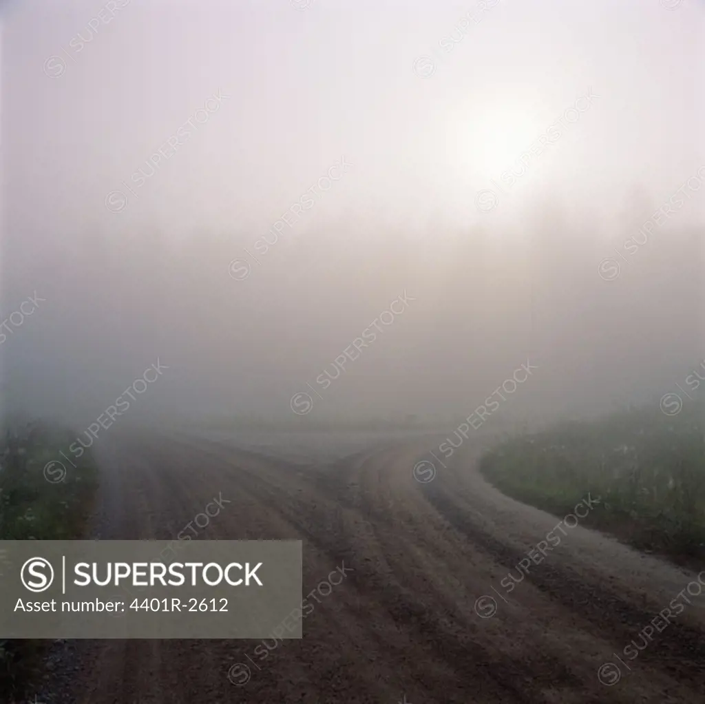 Mist over road
