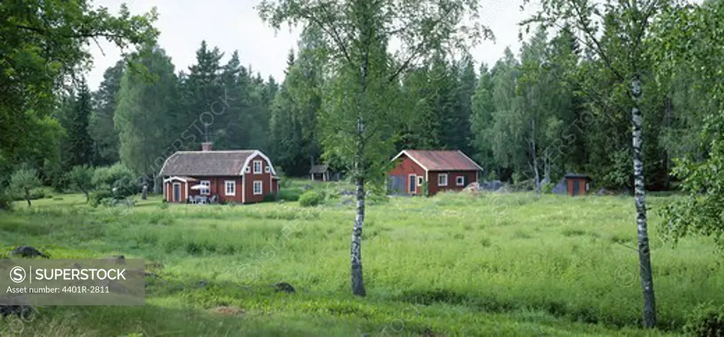 Red cottages in swedish forest.